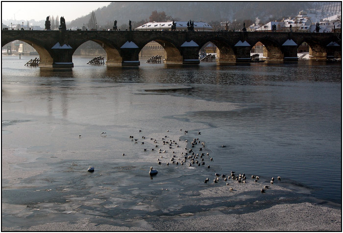 Karlův most v zimním kabátě