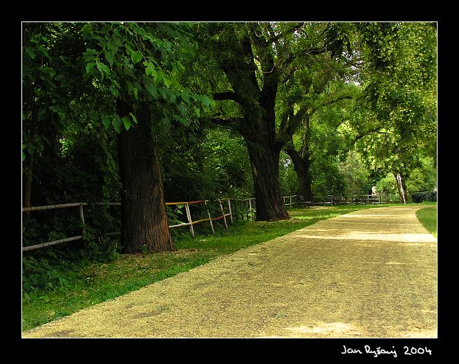 Cestička
