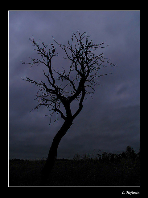 Deprese