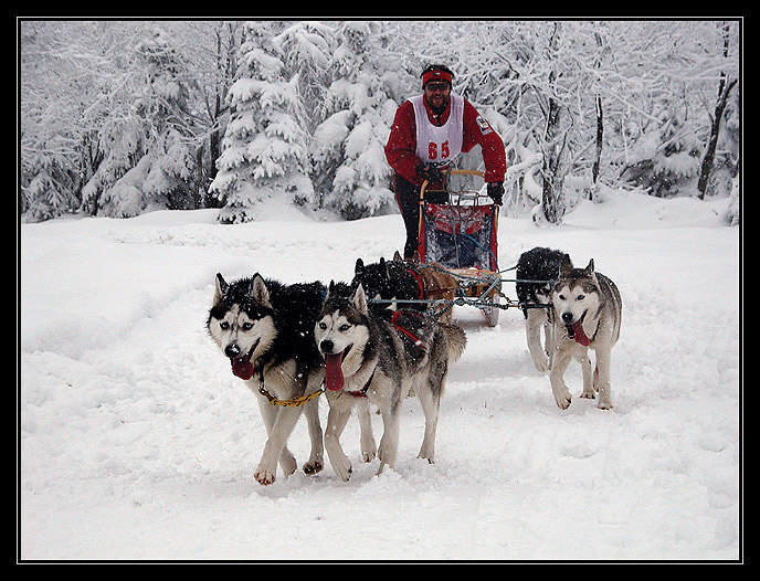 <b>Ztracený závod</b>