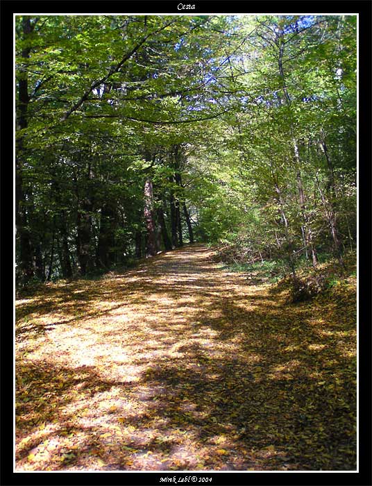 Cesta