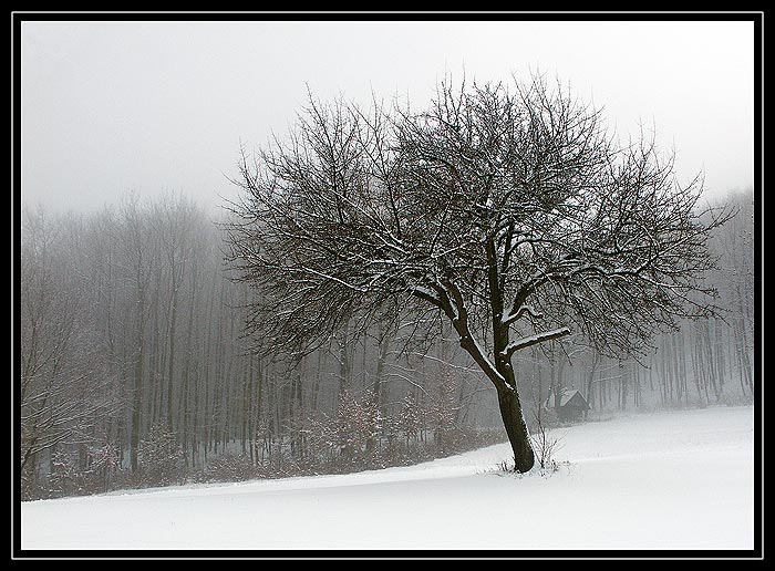 Solitér
