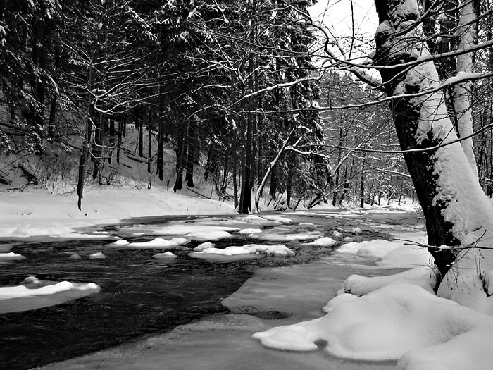 Morava pod Kralickým Sněžníkem