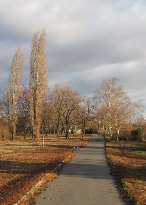 V parku