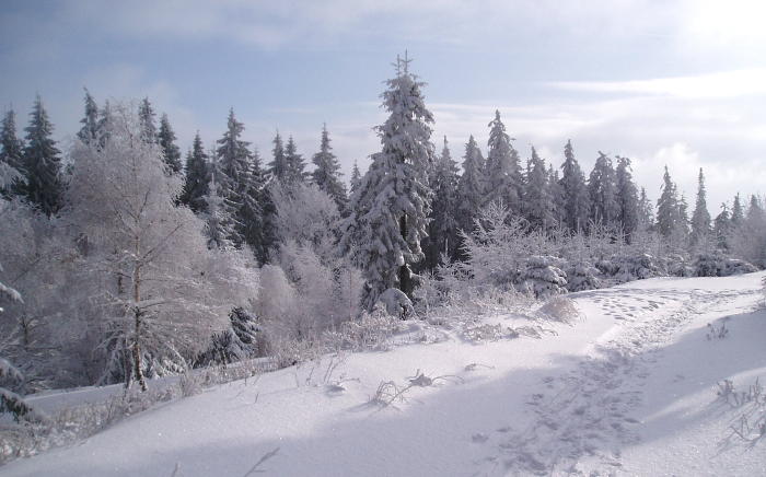 Beskydské zimní CvakDoLesa