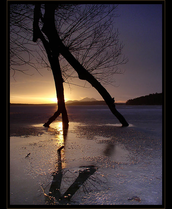 Poslední krasobruslařka