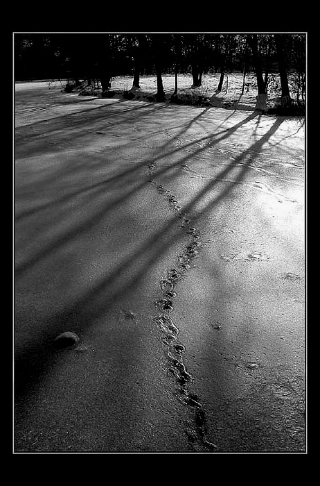 Stín a stopy na Lužnici