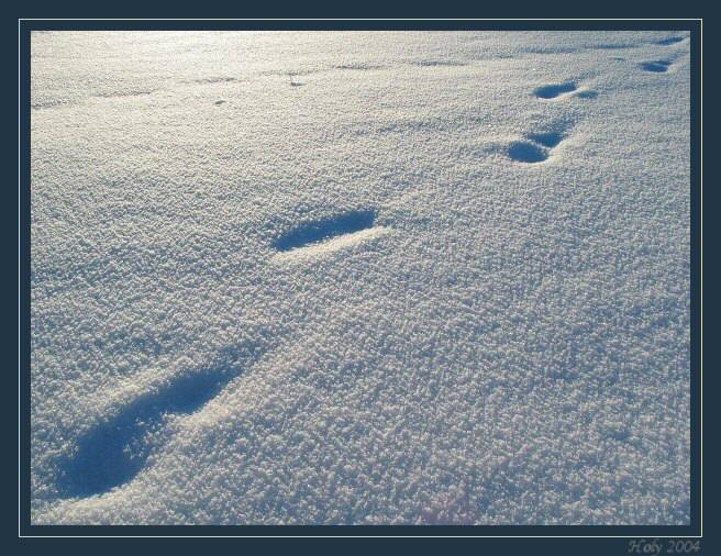 ...a on svou cestou šel...