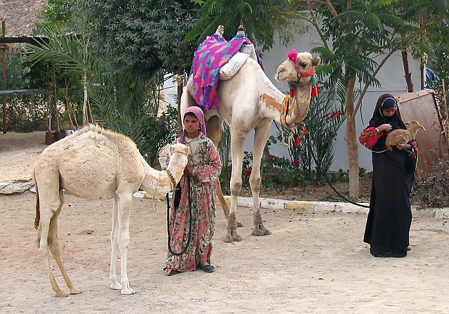 Beduinky - Egypt