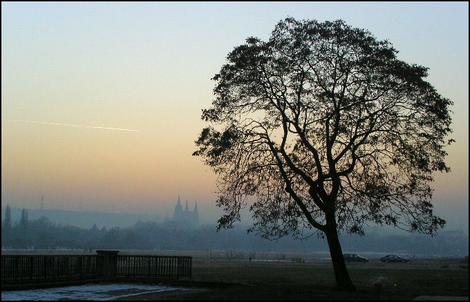 letná