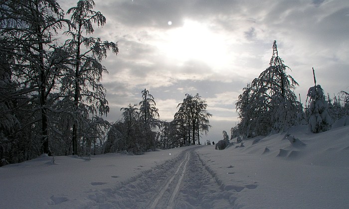 Paseky
