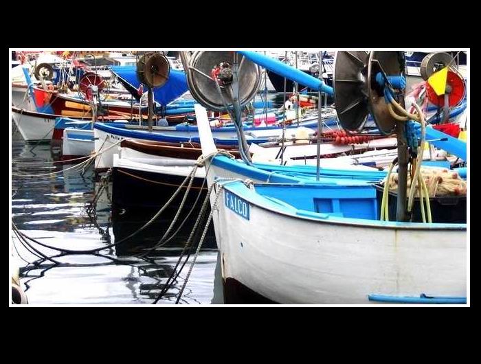 In porto a Rapallo