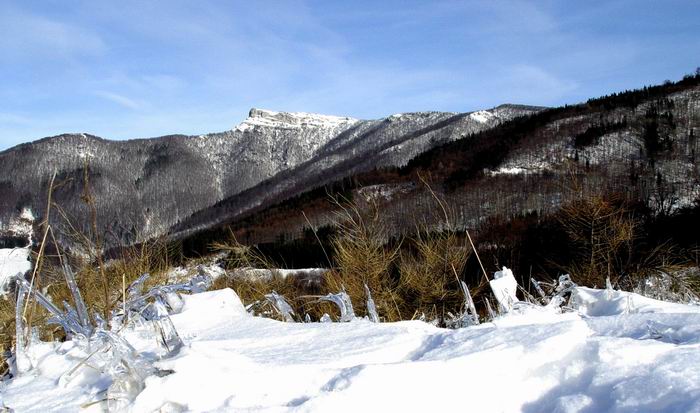 Fačkovské sedlo