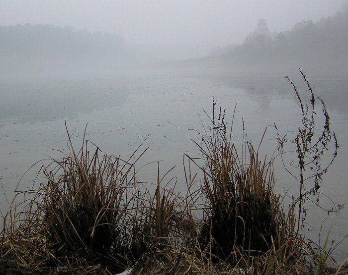 rybnik