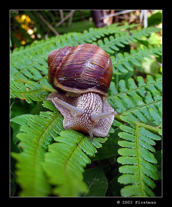 Marná cesta