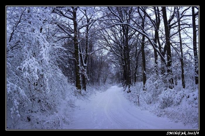 Cesta ze SNĚHOVOU královnou ...