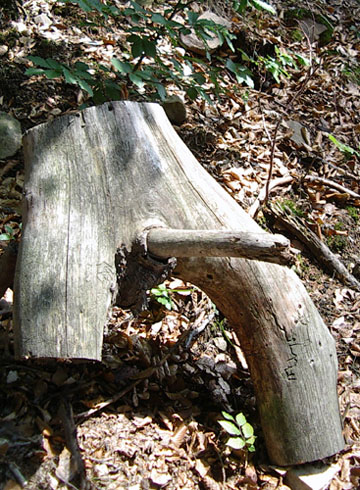 Kláda