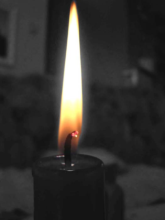 plamienok