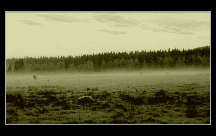 Podvečer na Šumave