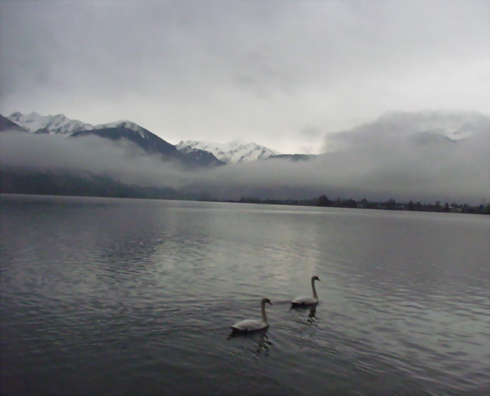 labutí jezero