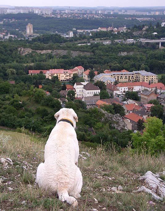 Zpět do civilizace