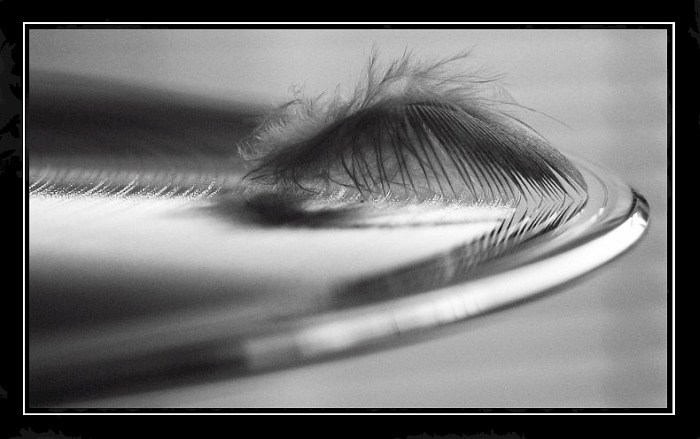 Organické protiklady