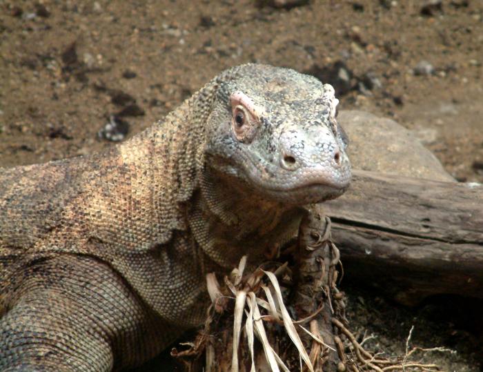 Dobře vás vidím, mě neutečete !!!!