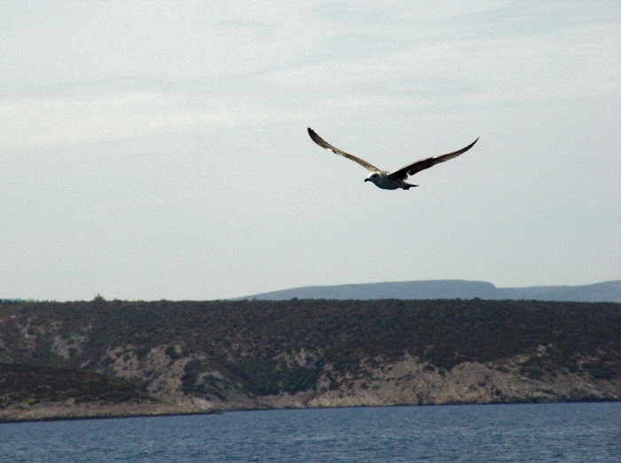 Kruci, už jsem tam měl být...