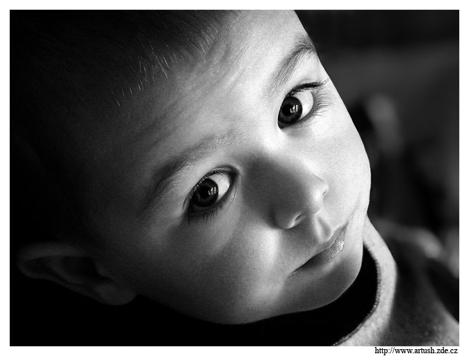 DOMINIK