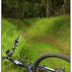 .: kdo sem dotahnul ten kanon?  :.