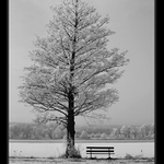 U zamrzlého Labe I.