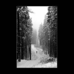 <b><i>.:Humanus minimalis:.</i></b>