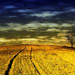 <b>- suReal aReal -</b>