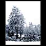 Z Krusnych hor IV....