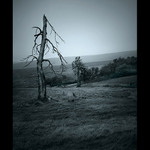 <b> - Krušnohorská - </b>