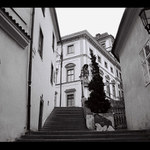 Hradčanské zátiší
