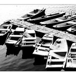 zimní spánek lodiček