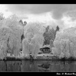   <B>IR 3D FOTO možná první na PP</B>