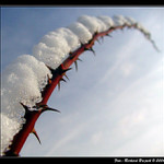  <B>VĚNOVÁNO JIŘÍMU CVRKOVI...</B>