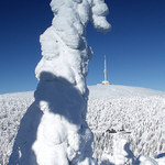 Kdo je větší ....