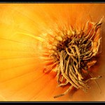 "ONION"