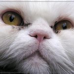 No tak už to zmáčkni a pojď si hrát