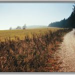 Vzpomínka na podzimní smutek