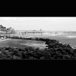 <b> Někdo to rád mořské </b>