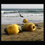 <b> Bóje, bójky, bóječky ... </b>