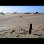 <b> Stopy minulosti </b>