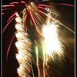 .<b> NEW YEAR PALM <b>.