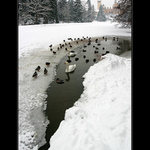 <b>Labutí jezero</b>