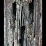 Staré tváře železnice