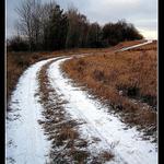 Klikatá polní cesta